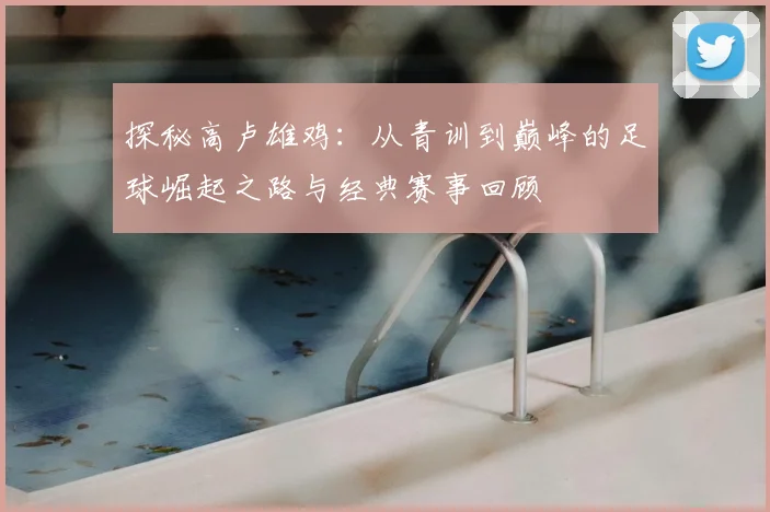 探秘高卢雄鸡：从青训到巅峰的足球崛起之路与经典赛事回顾