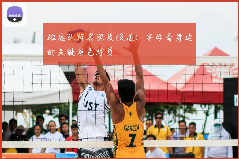雄鹿队阵容深度报道:字母哥身边的关键角色球员